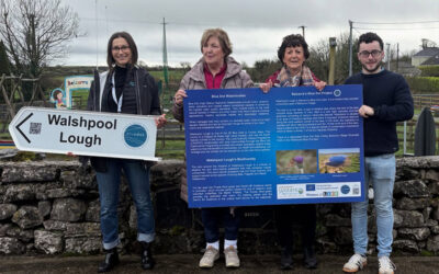 Walshpool Lough – Blue Dot Lake